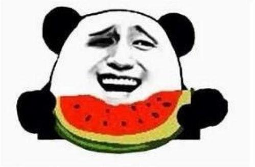 吃瓜鼬,揭秘动物界的“吃瓜群众”